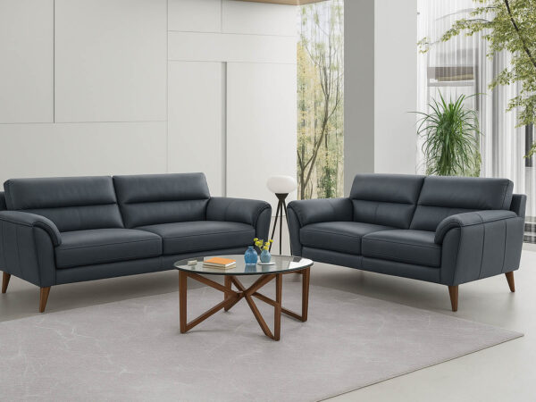 Parise Leather Sofa